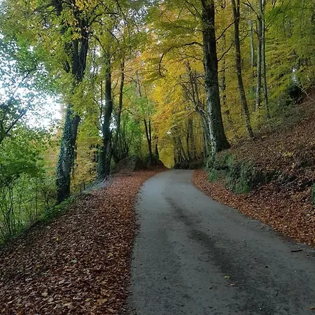 Santuari De La Salut De Hotel Sant Felíu de Pallarols